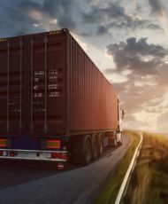 WhatsApp Image 2024-12-31 at 4.20.34 PM (1)