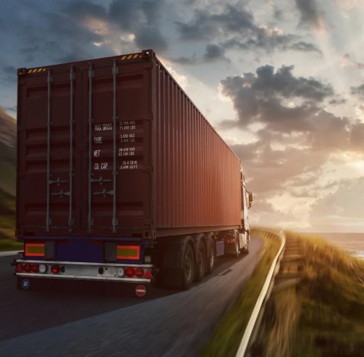 WhatsApp Image 2024-12-31 at 4.20.34 PM (1)