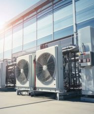 WhatsApp Image 2024-12-31 at 4.20.34 PM